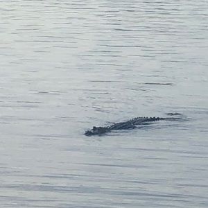 Meet your Posher, Stephen